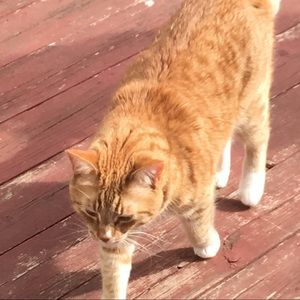 Meet your Posher, Bobby